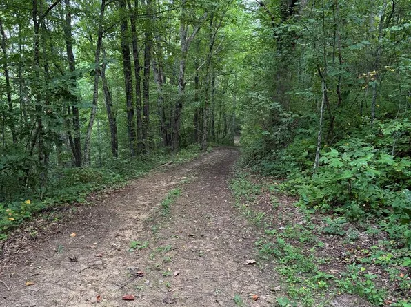 0 Pigeon Creek Rd, Bryson City, NC 28713