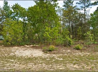 2507 W WILMINGTON LOOP LOT 22, CITRUS SPRINGS, FL 34434