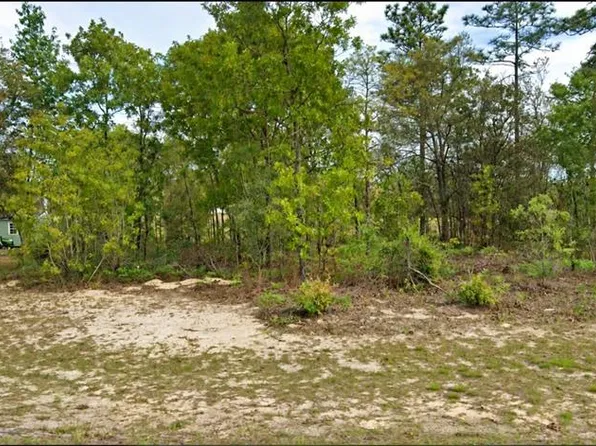 2507 W WILMINGTON LOOP LOT 22, CITRUS SPRINGS, FL 34434