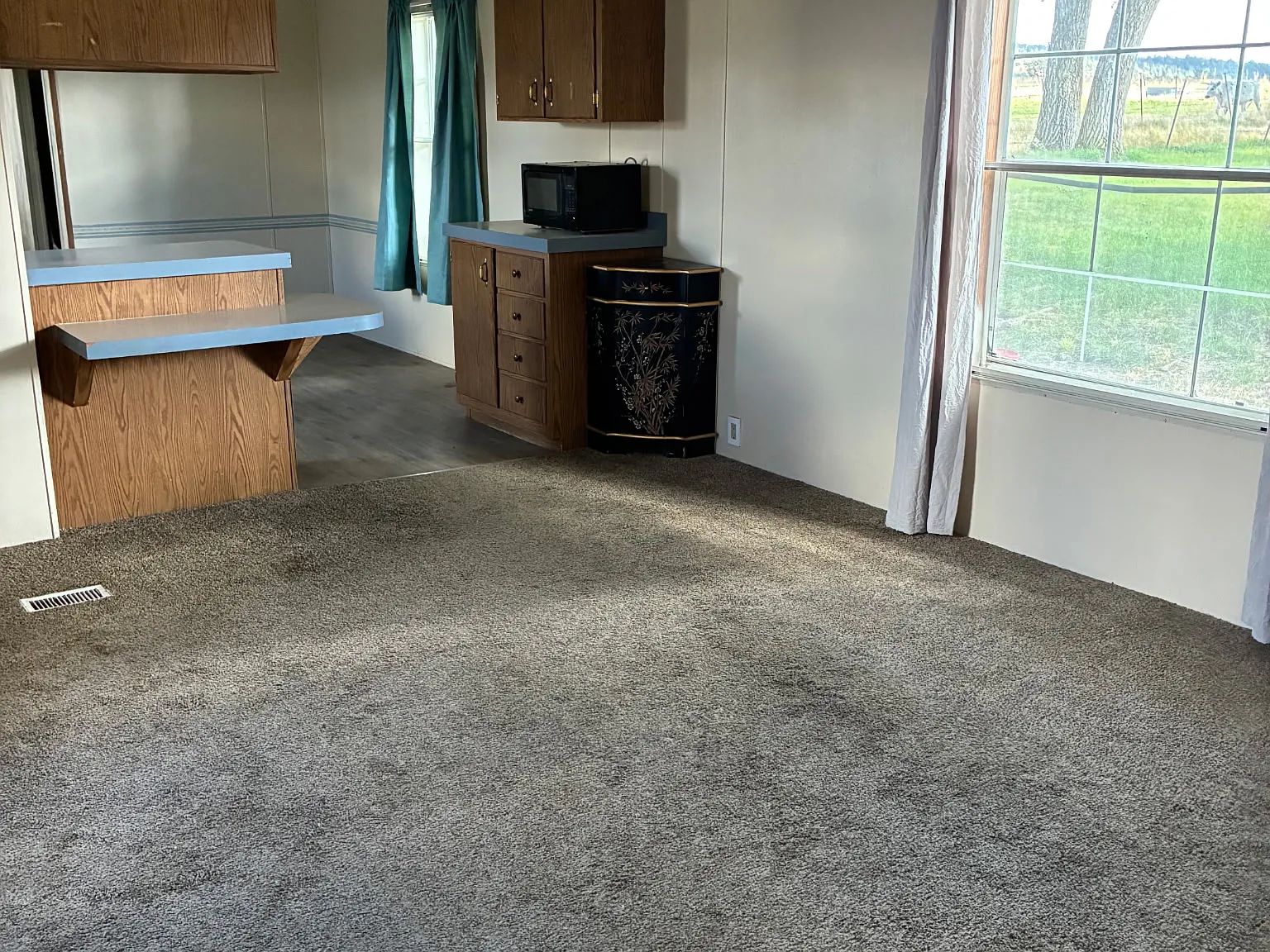 2 bed, 800 sqft, $1,150 — Photo 3