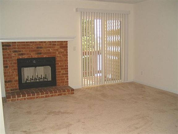 Wood burning fireplace