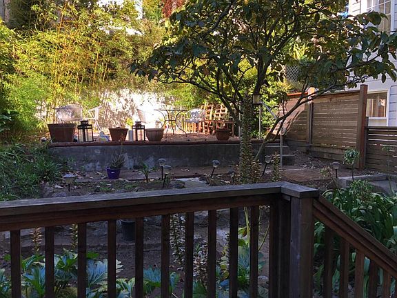 Common Backyard