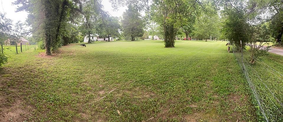 61st image of this home