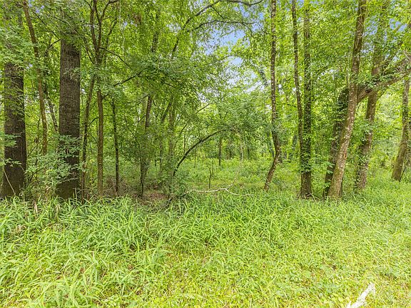 5th image of 12572 Royal Creek Road