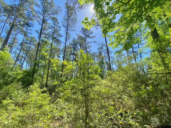 Acr 182, Elkhart, TX 75839