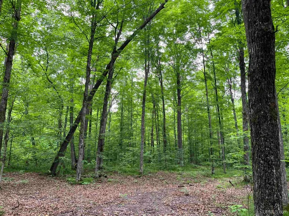 3435 Mulberry Ln, Florence, WI 54121