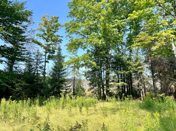 4644 Cth E, Phelps, WI 54554