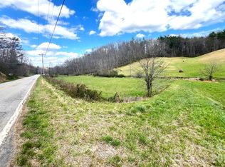 99999 Martin Branch Rd, Leicester, NC 28748