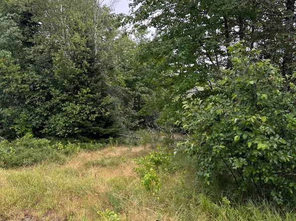 TBD Main St, Milbridge, ME 04658