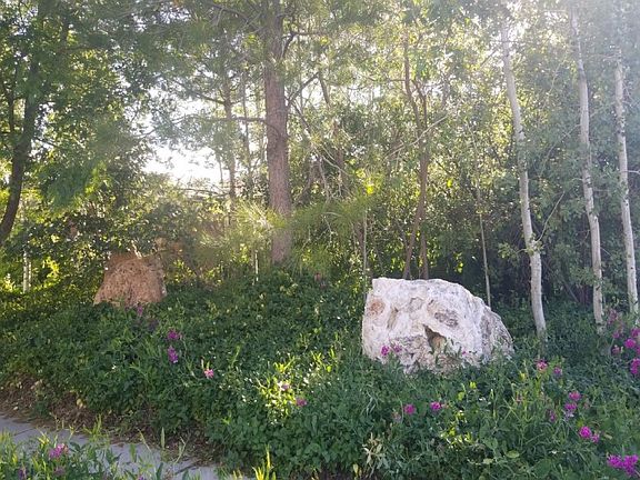 2nd image of 10533 S Clementine Cir