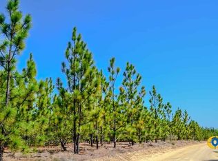 5659 State Highway 28 31 S, Bethune, SC 29009