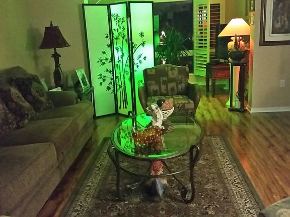 4th image of 12547 Imperial Isle Dr APT 302
