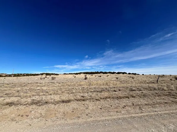 LOT 121 County Road 113, Rye, CO 81069