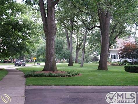 DRIVE WAY VIEWS