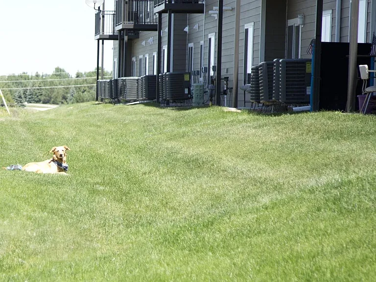 Legacy Heights Apartment Homes — Photo 13