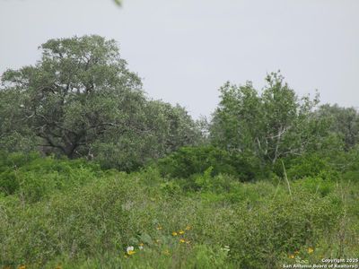 1888 W CR 104, Normanna, TX, 78142