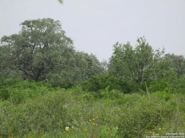 1888 W CR 104, Normanna 78142