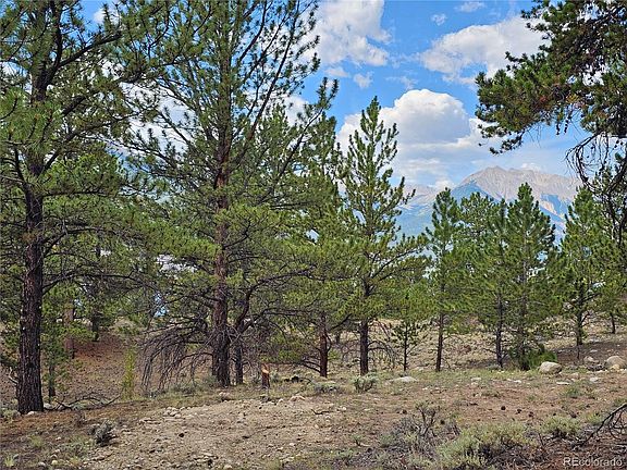 5th image of 142 La Plata Peak Drive