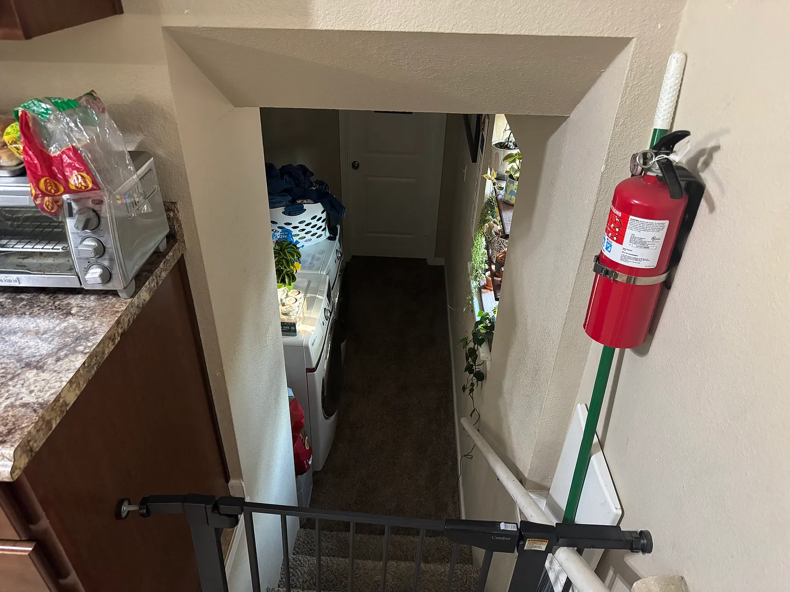 Zion Dr, Colorado Springs — Photo 1