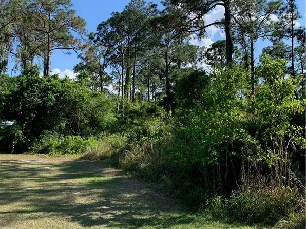 1017 Dearing St, Lake Placid, FL 33852