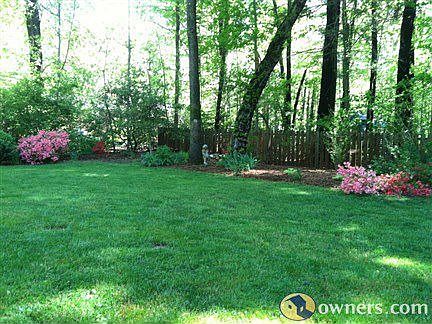 Back yard