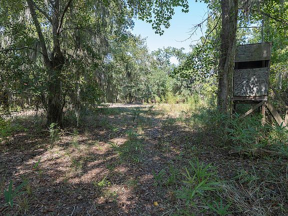 51st image of this home