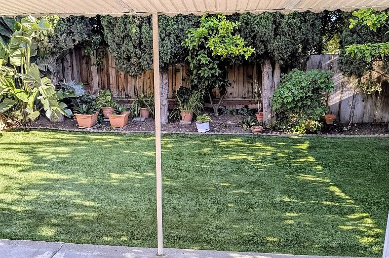 1385 San Domar Dr #2 — Photo 16
