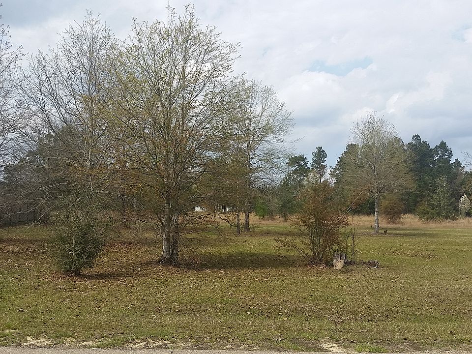 1st image of 28625 Lindsey Erin Ln #1