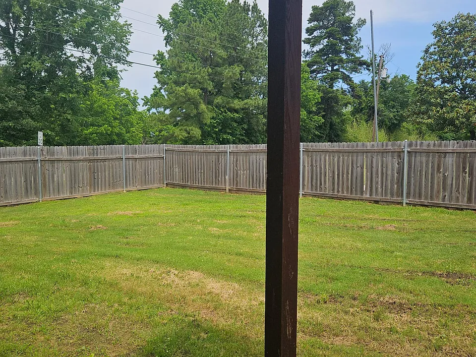 Back yard