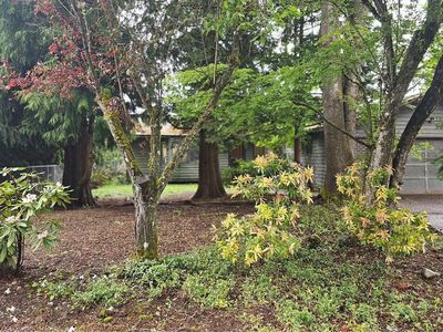 3530 Scenic Drive SE, Auburn, WA, 98092