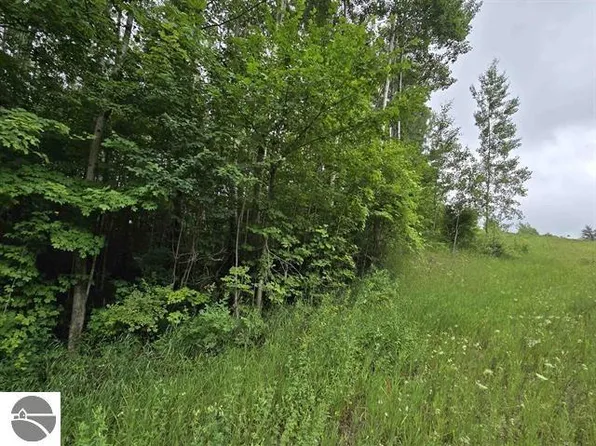 0 N 9th Rd, Mesick, MI 49668