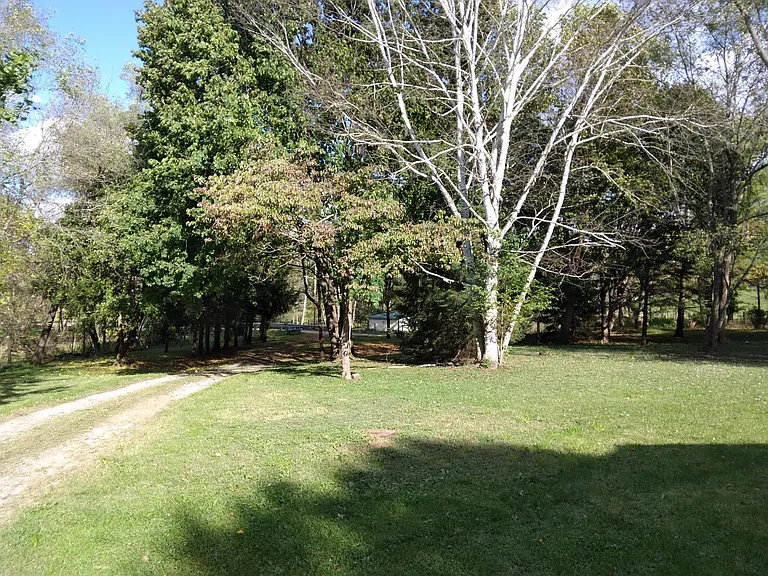View from the deck towards road.