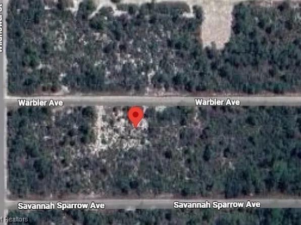 3220 Wilsons Warbler Ave, Lake Placid, FL 33852