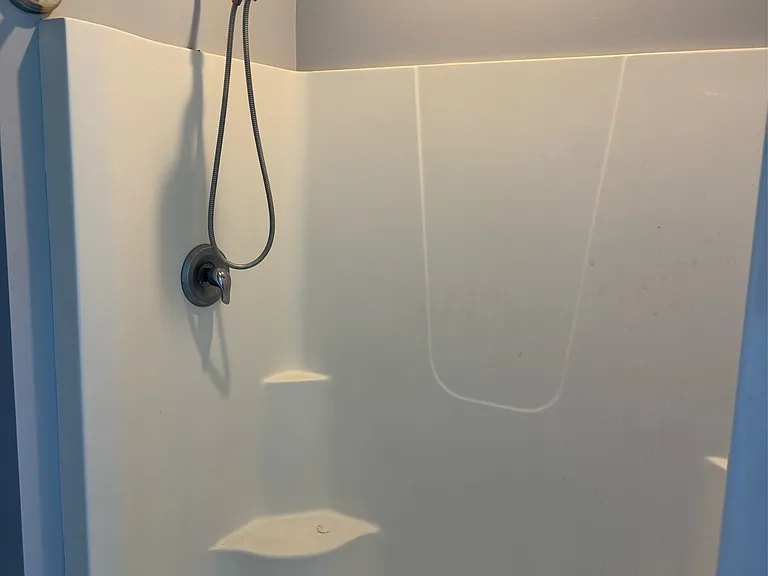 Primary bathroom shower