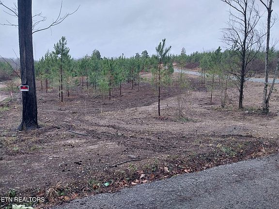 3rd image of 339 Big Sewee Rd