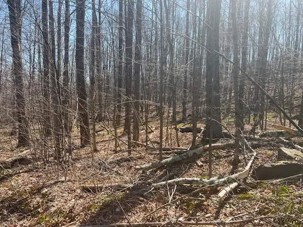 Wheeler Rd, Moscow, PA 18444