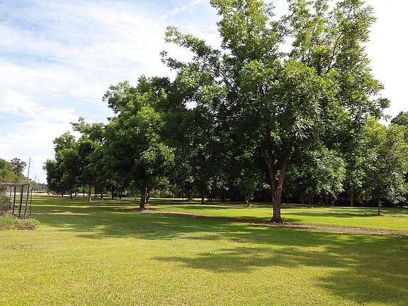 Summer older part of orchard