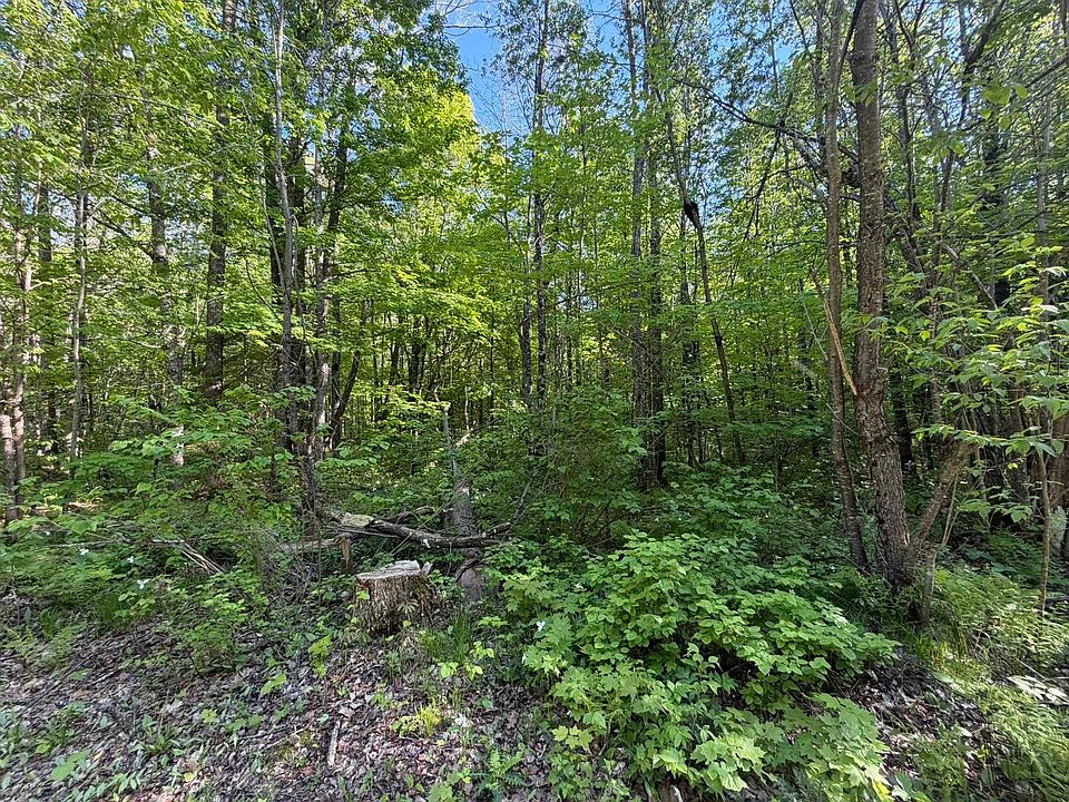 2nd image of Dream Lake Rd #7