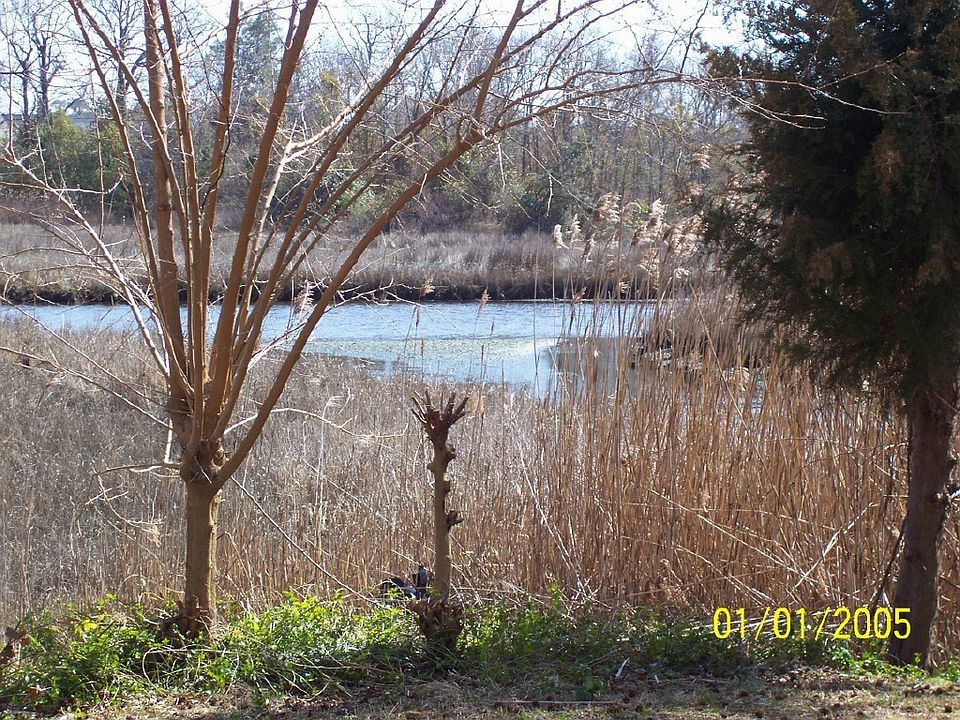 2nd image of 8440 Capeview Ave