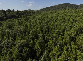 14 Polk Rd #78, Mena, AR 71953