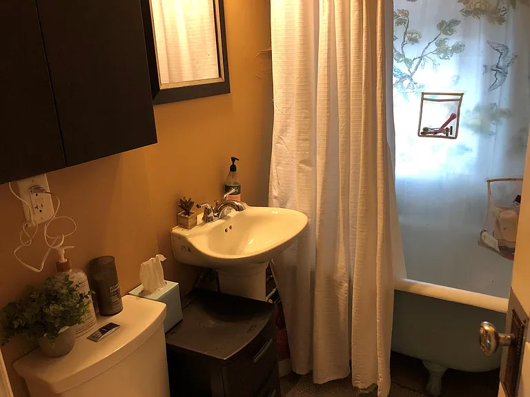 Bathroom. Clawfoot tub, pedestal sink and dual flush toilet.