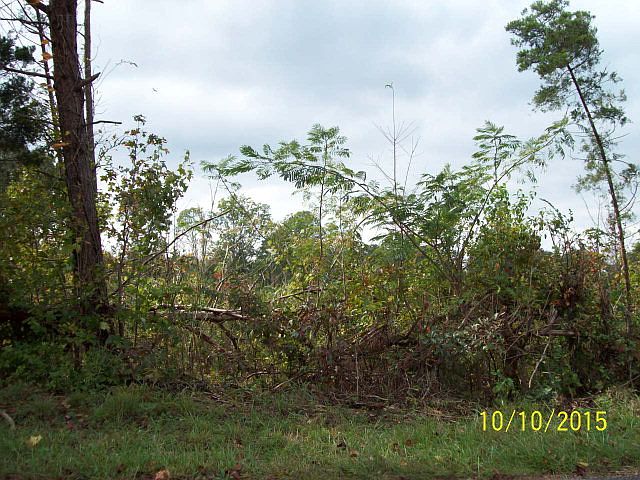 2nd image of Lot 1 Pollard Rd.
