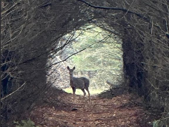 3rd image of W4506 County Rd