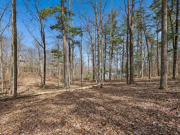 8th image of this home