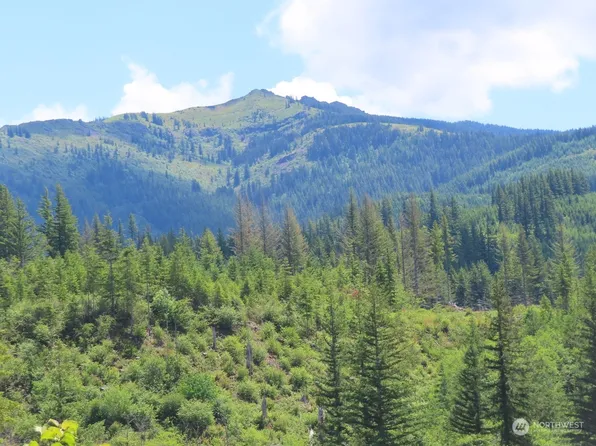 0 Lot 1 L-1100 Road, Yacolt, WA 98675