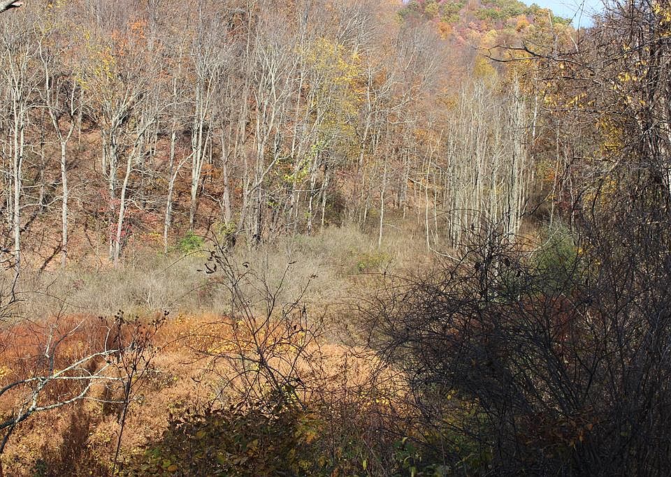 1st image of 00 Parker Ln.