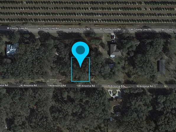 3180 W Ansonia Rd #11391, Avon Park, FL 33825