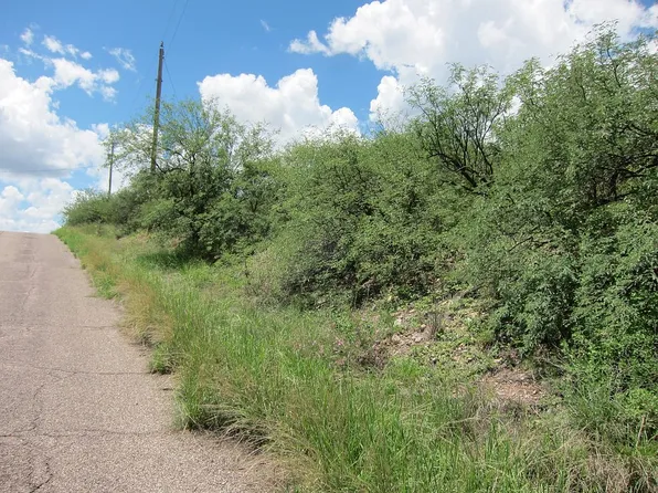 502 Camino Hombre De Oro, Rio Rico, AZ 85648