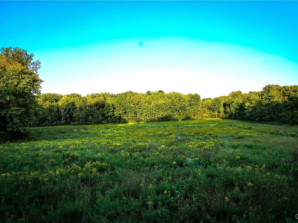 LOT 1 Shants Rd Jordan NY Zillow