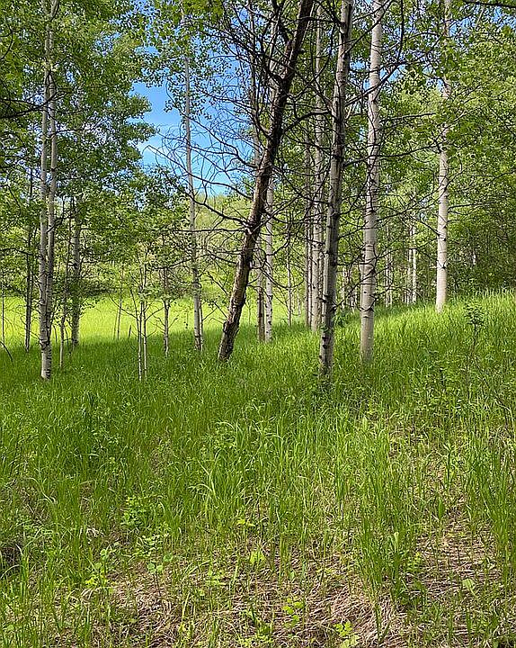 1st image of 84 Aspen Way